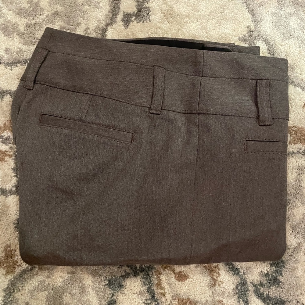 Express Editor Pants